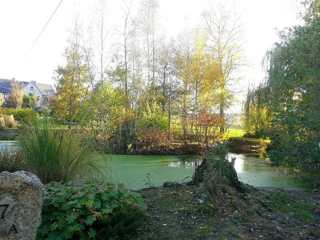 Former moated castle complex in the center of Ebersbrunn. It can be seen only a small island and the moat.