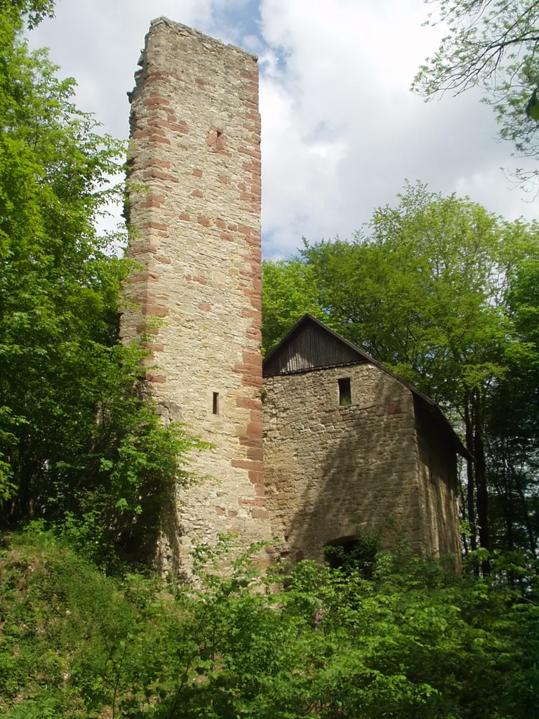 Die Boyneburg, Werra-Meißner-Kreis, Hessen, Germany
