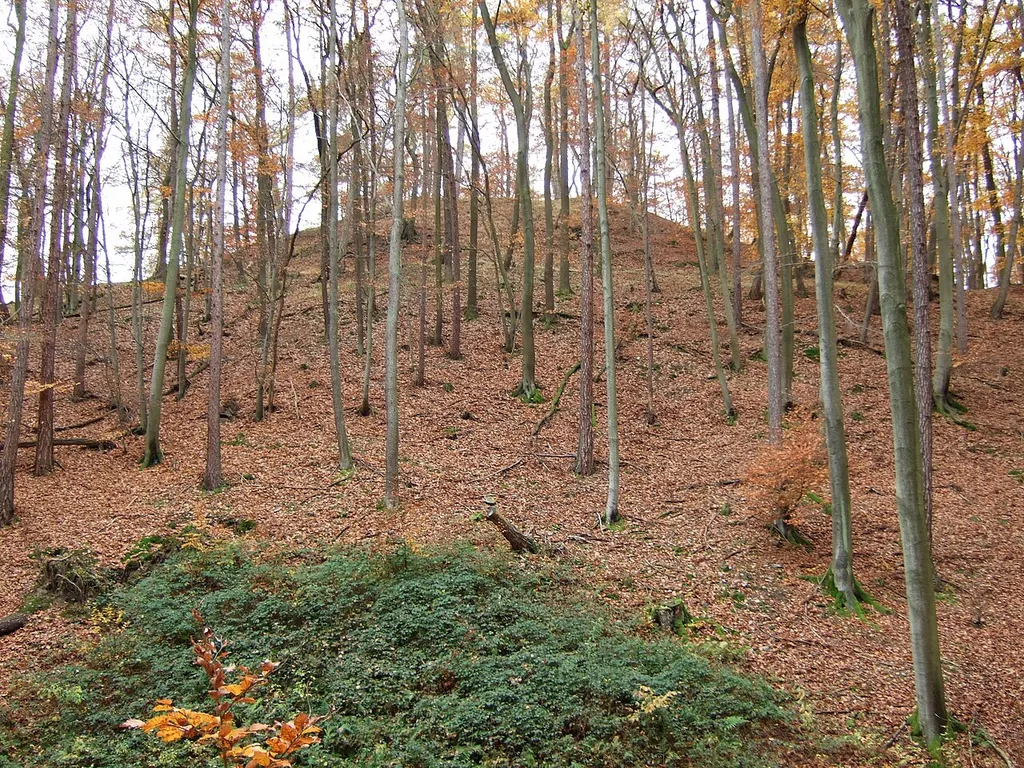 Der Hügel auf dem die Randenburg bei Alzenau stand