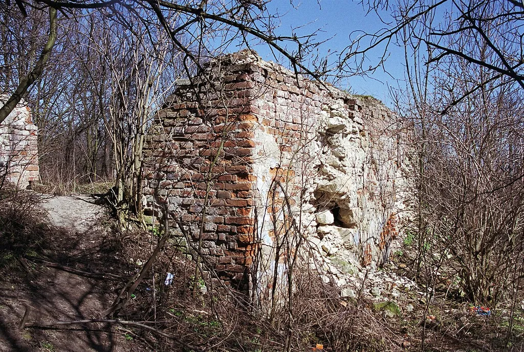 Szczebrzeszyn, ul. Z. Klukowskiego - ruiny zamku (ze wzgórzem), XIV w. (zabytek nr A/225 z 11.08.1982)