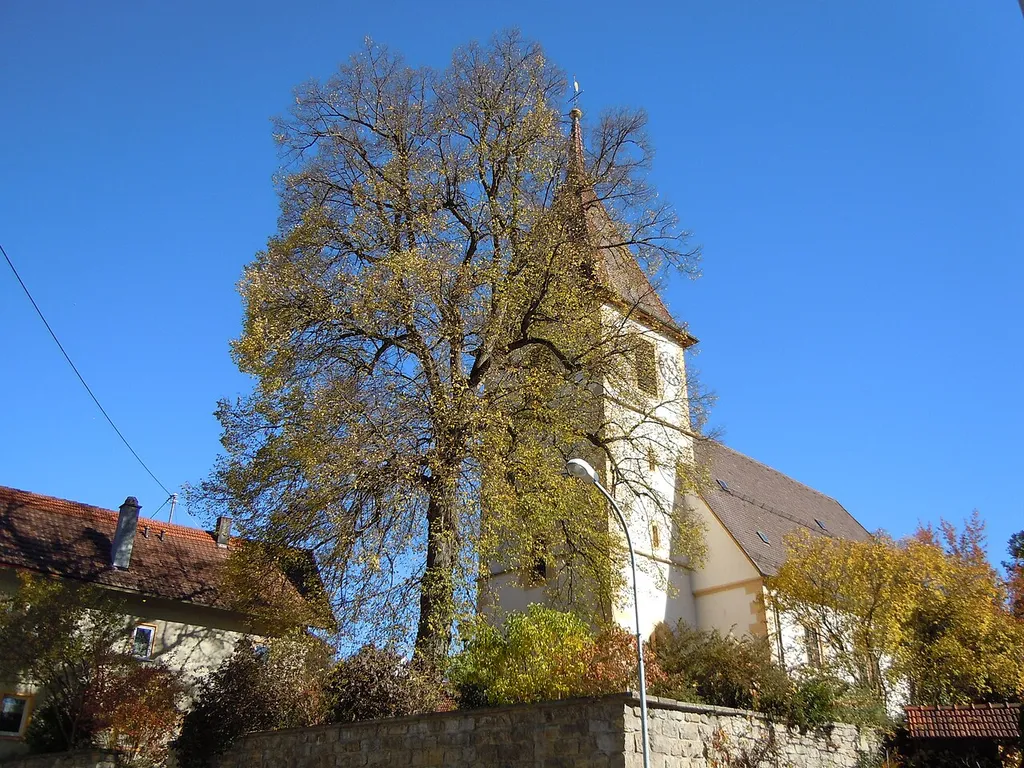 Naturdenkmal "Linde vor der Deufringer Kirche" (Schutzgebiets-Nr. 81150010019) in der Ortsmitte von Deufringen (Aidlingen).