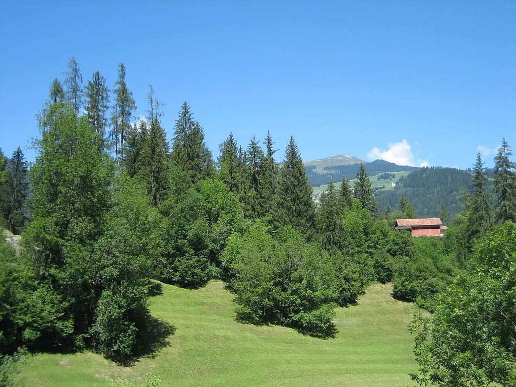 Burghügel Castrisch