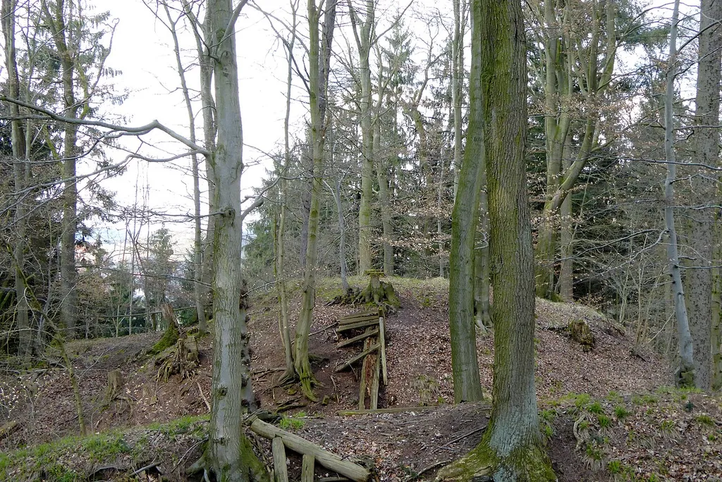 Turmburg bei Trögen / Ludwigshöhe über dem Espoldetal, Blick von Süden über die beiden Gräben zum Burgplateau. Im Graben Reste der eingestürzten Holzbrücke