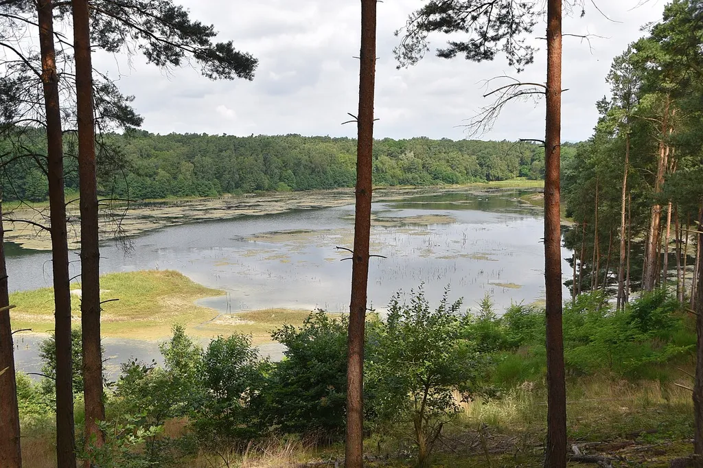 NSG Gehspitzweiher bei Neu-Isenburg.