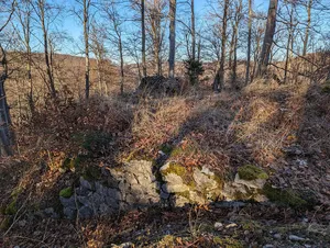 Burgruine Leimburg