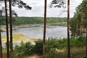 Gehspitzweiher bei Neu-Isenburg