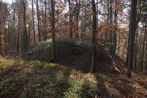 Burgstall Frickenhofen