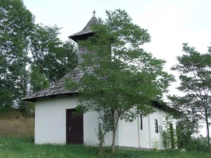 Wooden church in Bodogaia