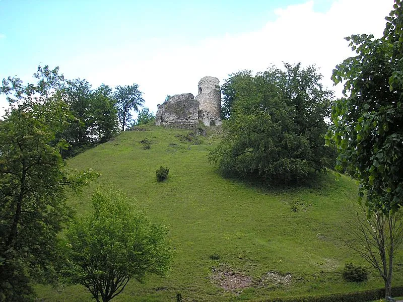 Burg Schenkenstein (Ostalb). Gesamtansicht vom Tal.