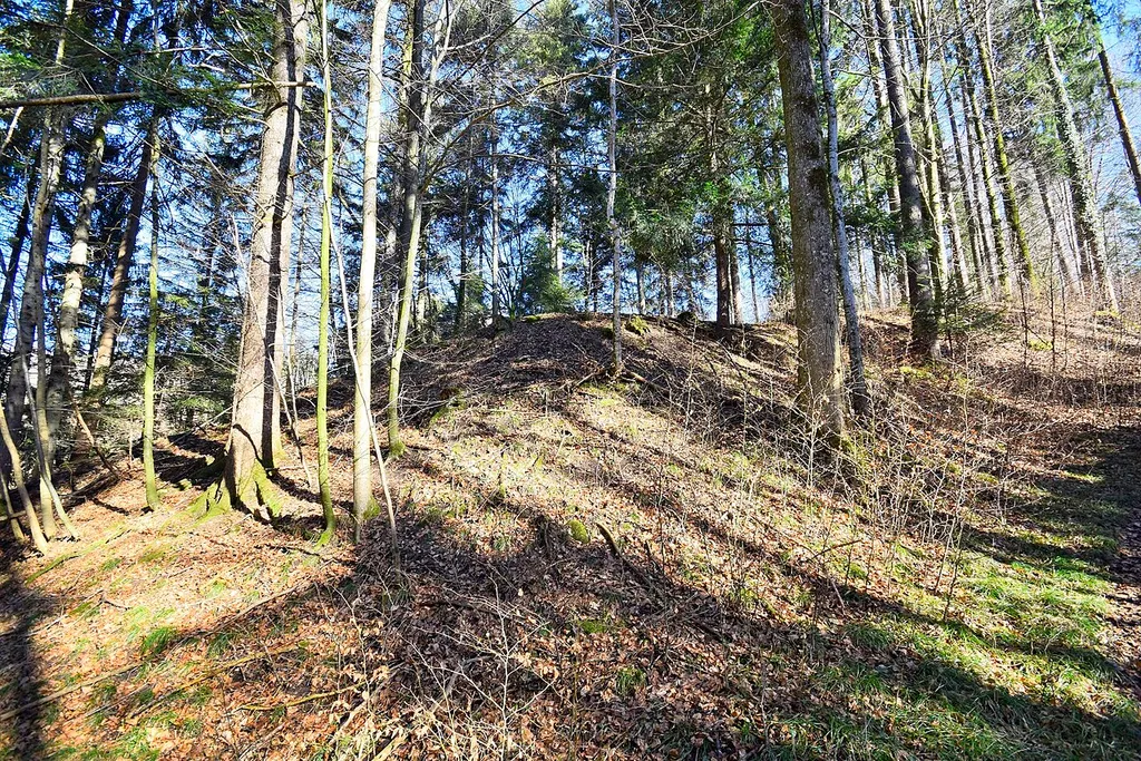This is an image of a cultural property of regional significance in Switzerland with KGS number