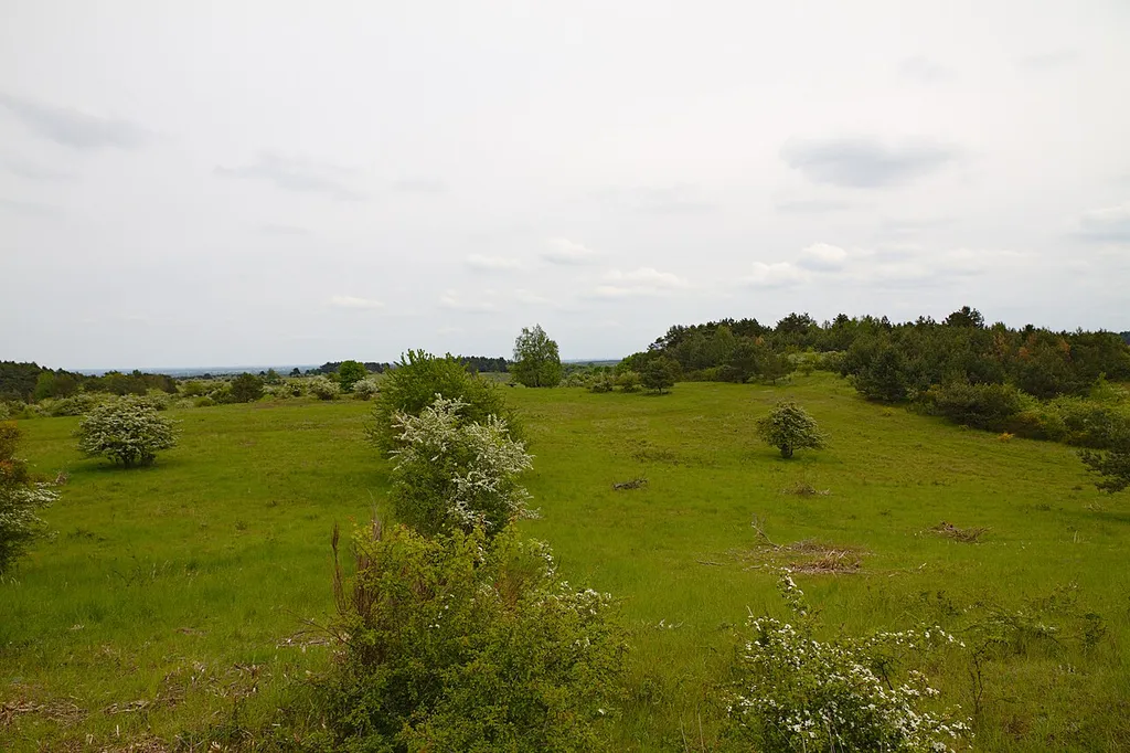 Blick Richtung Nordosten aus dem südlichen Teil der Hutelandschaft Altranft-Sonnenburg. Am Horizont ist das Oderbruch sichtbar.