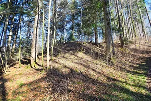 Burgstelle Schlossbühl