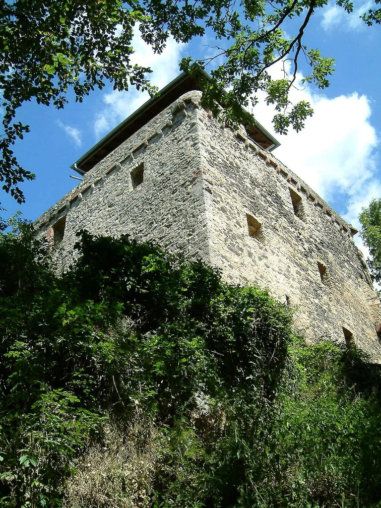 Ruine der Reußenburg auf dem Truppenübungsplatz Hammelburg