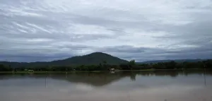 Diphu
