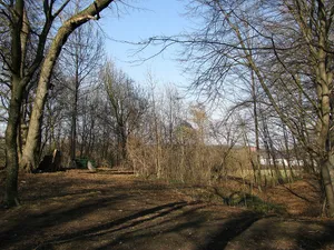 Burgstall Alling