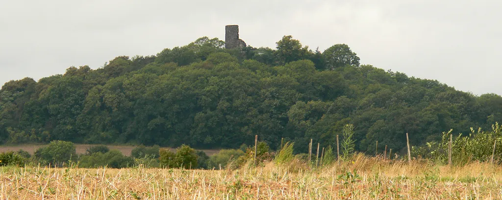 Tomburg auf dem Tomberg bei Rheinbach