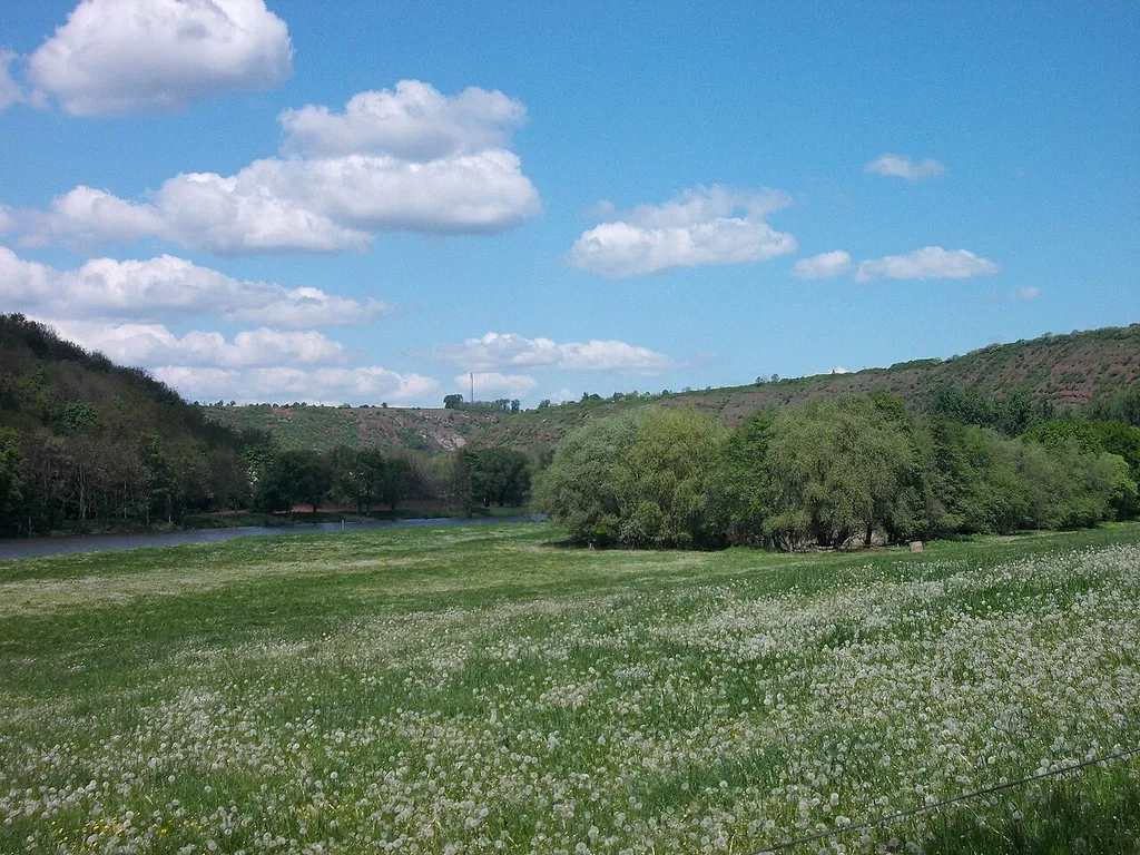 Saale valley south of Rothenburg (Wettin-Löbejün, district: Saalekreis, Saxony-Anhalt), nature reserve Saale gap near Rothenburg