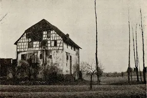 Castel site Alt-Rohr