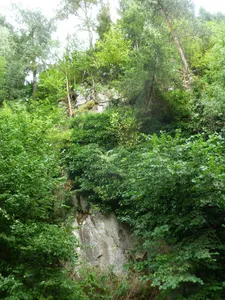 Burgruine Schönberg