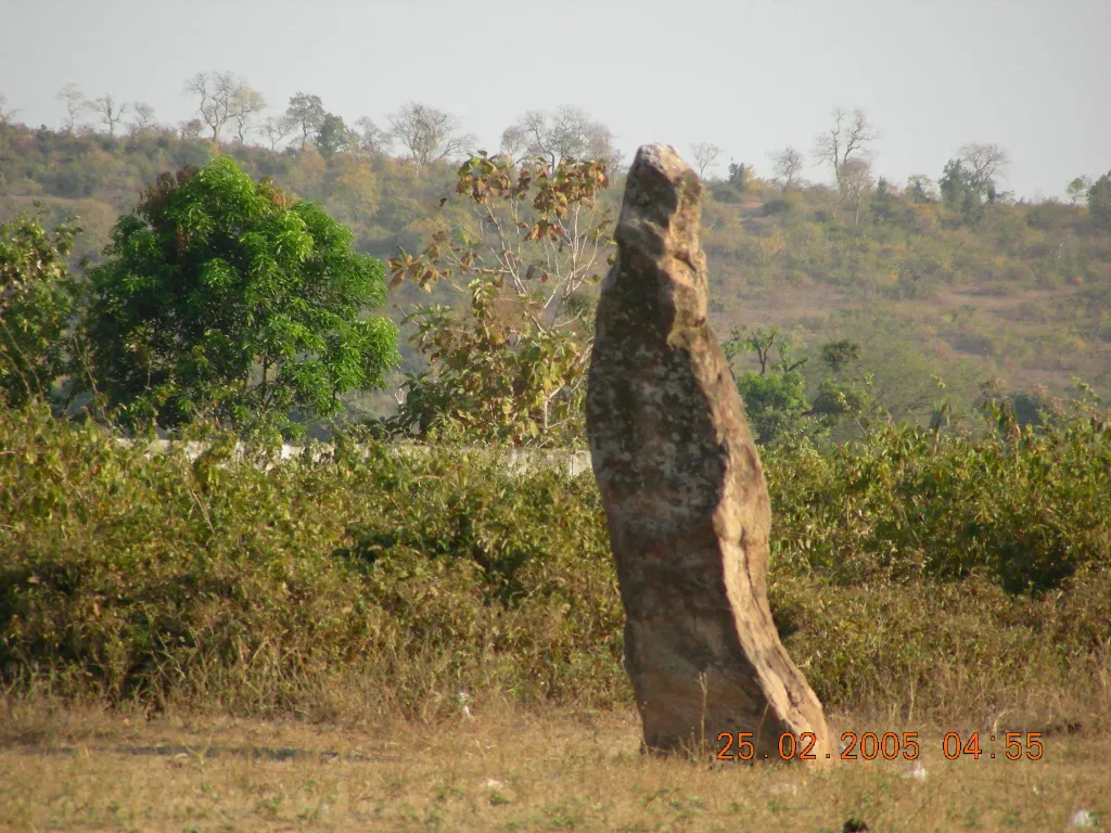Nagbhid