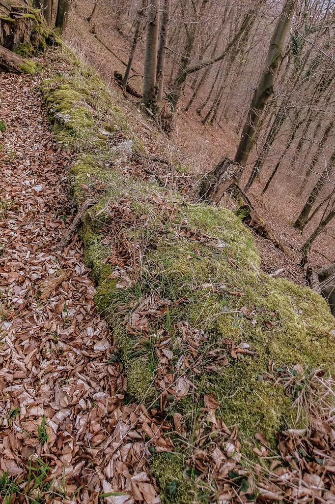 Mauerrest im Westen der Lauenburg