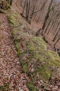 Lauenburg