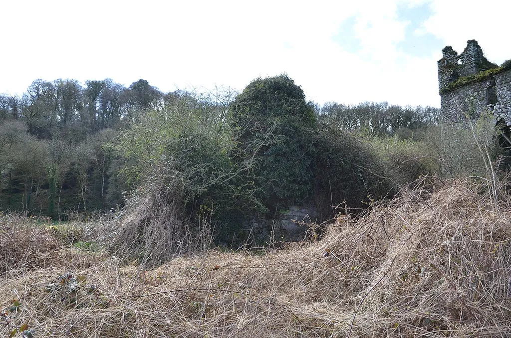 This object is indexed in the Archaeological Survey of Ireland under SMR No. KK032-004003-Geographic information system of the National Monuments Service: Historic Environment Viewer – Database record.