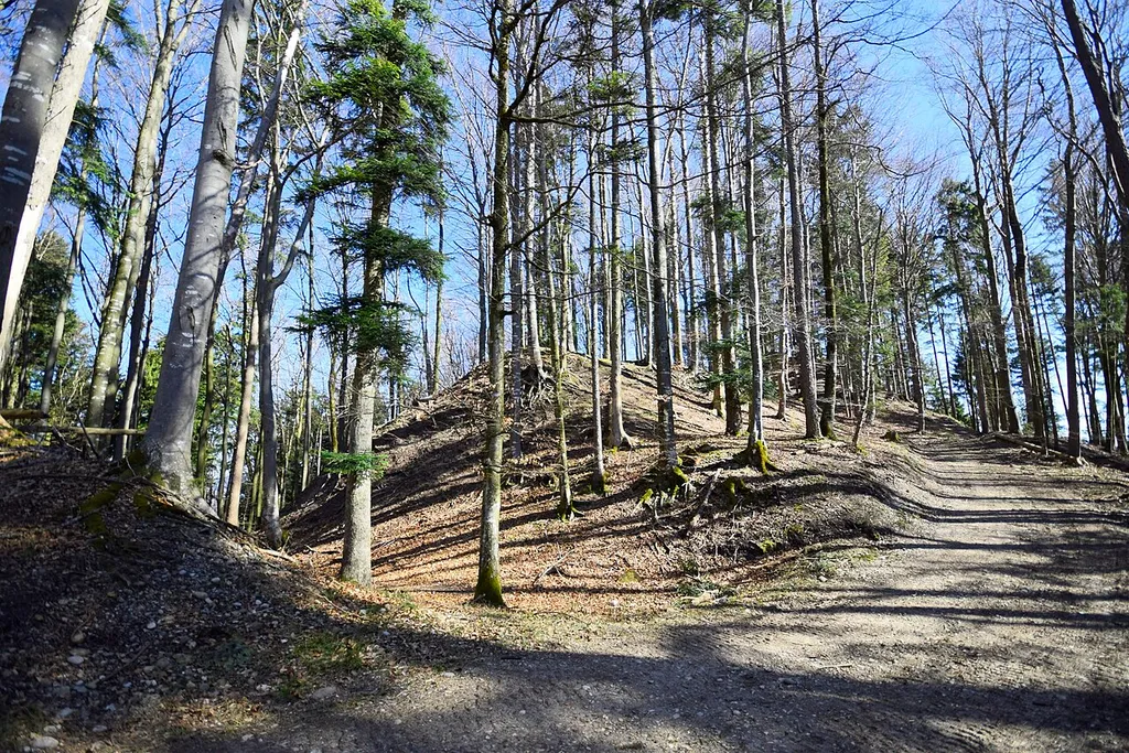 This is an image of a cultural property of regional significance in Switzerland with KGS number