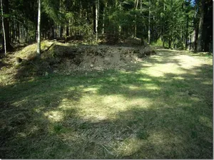 Burgstall Erlach