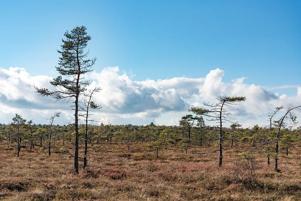 Kernzonen im bayerischen Teil des Biosphärenreservats Rhön