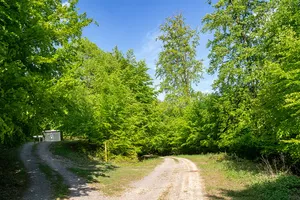 Hinnenburger Forst mit Emder Bachtal
