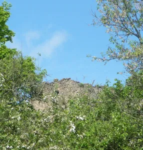 Burgruine