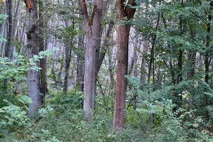 Naturpark Märkische Schweiz