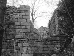 Ruins Ödenburg