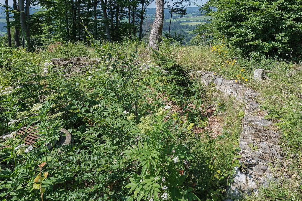 Only some basewalls of the defensive fortification Primaresburg on Franziskanerkogel in Maria Lankowitz are visible nowadays.