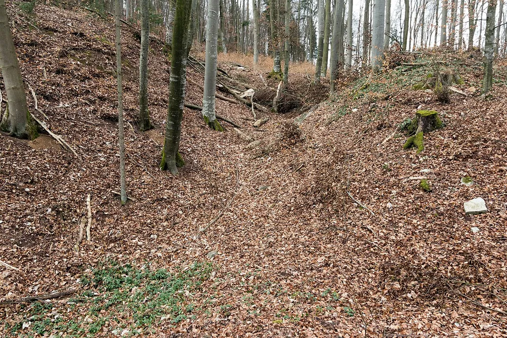 Burgruine Liebeneck, Mettendorf