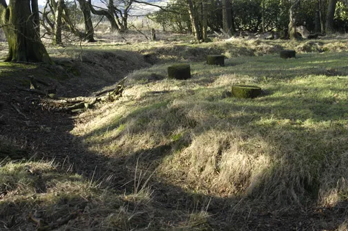 Bleasdale Circle enclosed Bronze Age urnfield