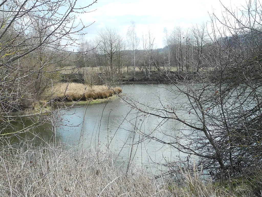 Naturschutzgebiet im Regierungsbezirk Kassel 1634027. „Kiesteiche Altenburg in Felsberg“, Teiche in Auskiesungsfläche mit Bäumen, nördlich der Eder am nordöstlichen Ortsrand von Altenburg bei Felsberg im Schwalm-Eder-Kreis, Hessen, Deutschland.