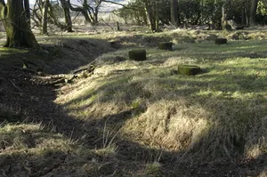 Bleasdale Circle enclosed Bronze Age urnfield