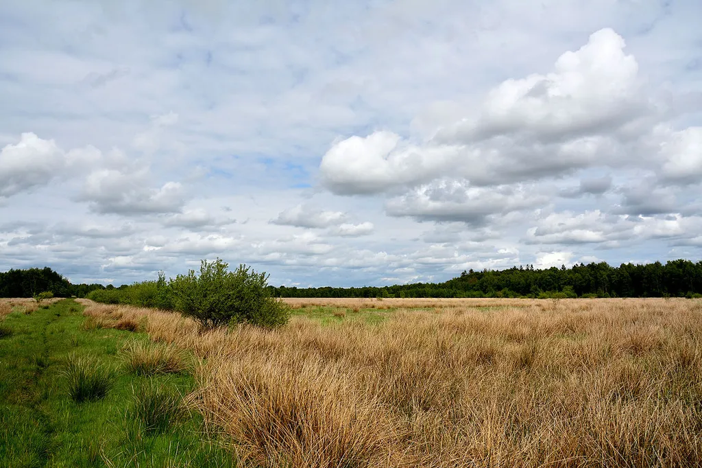 This image was uploaded as part of Wiki Loves Earth 2015.