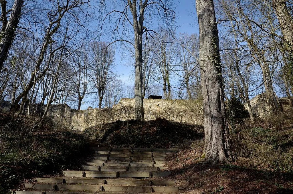Vue partielle des ruines côté Sud, depuis l'escalier d'accès au haut du parc de Montrond.