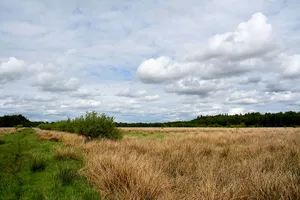 Moore der Breitenburger Niederung
