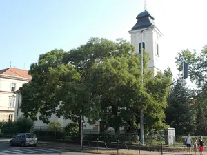 Saint Elisabeth of Hungary Church (Gyöngyös)