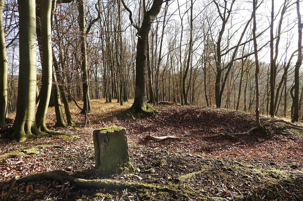 Der „Taubenberg“ liegt mit einer Höhe von 340 m im mittleren Ulfetal, in der Gemarkung von Breitau, einem Ortsteil Sontras, im nordhessischen Werra-Meißner-Kreis. Auf seiner Kuppe finden sich Überreste einer langgestreckten, rechteckigen Burganlage, von der heute nur noch verflachte Wälle und Gräben erhalten sind. Die dort geborgenen Keramikscherben werden in das 12. und 13. Jahrhundert datiert. Über die Erbauer und die Entstehungszeit ist nichts bekannt, es fehlen jegliche zeitgenössischen Zeugnisse.