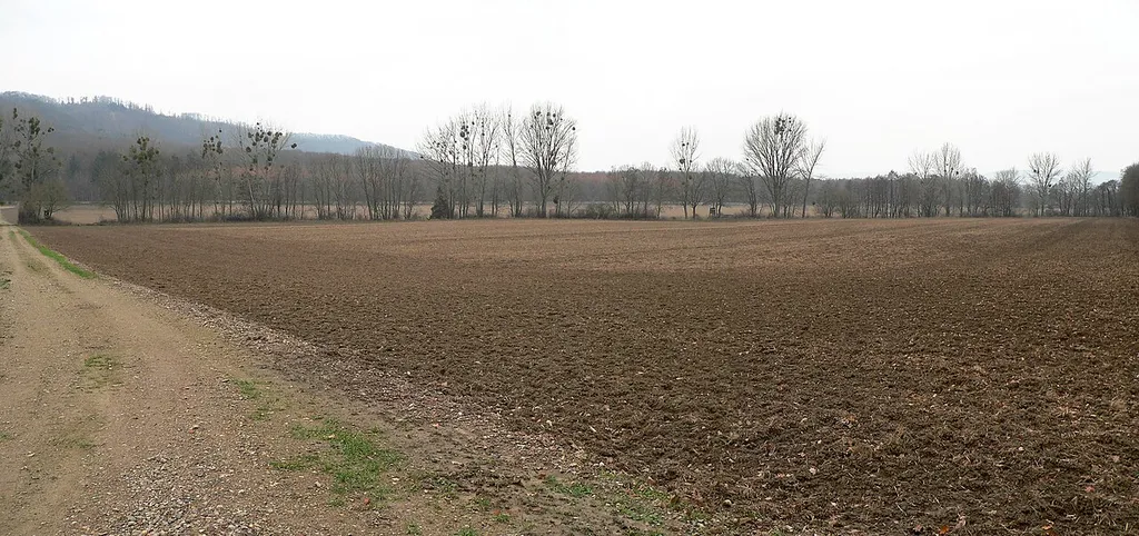 Gelände mit der Burgstelle Schlangenberg bei Eldagsen