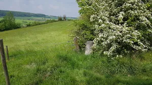 Belgium-Netherlands boundary stone no. 12a