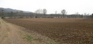 Burg Schlangenberg