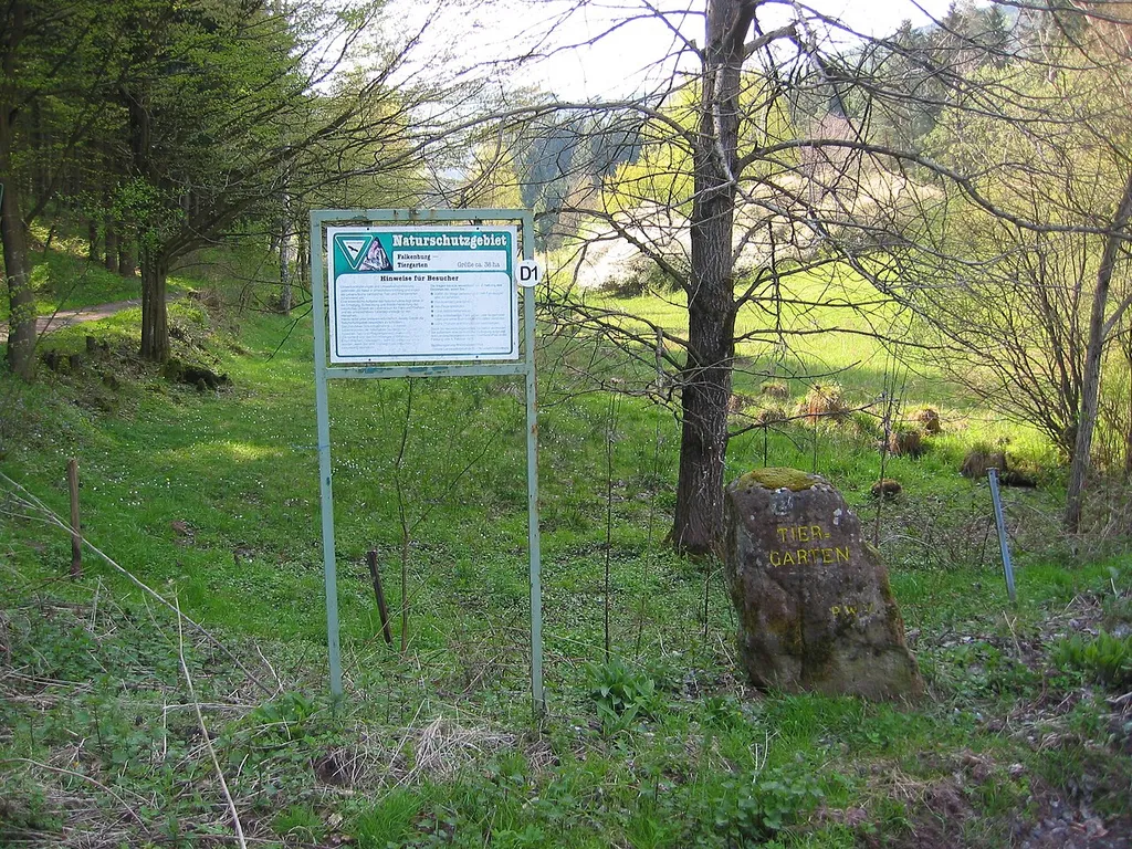Ritterstein Nummer 46, Tiergarten, Wilgartswiesen; Naturschutzgebiet „Falkenburg-Tiergarten“