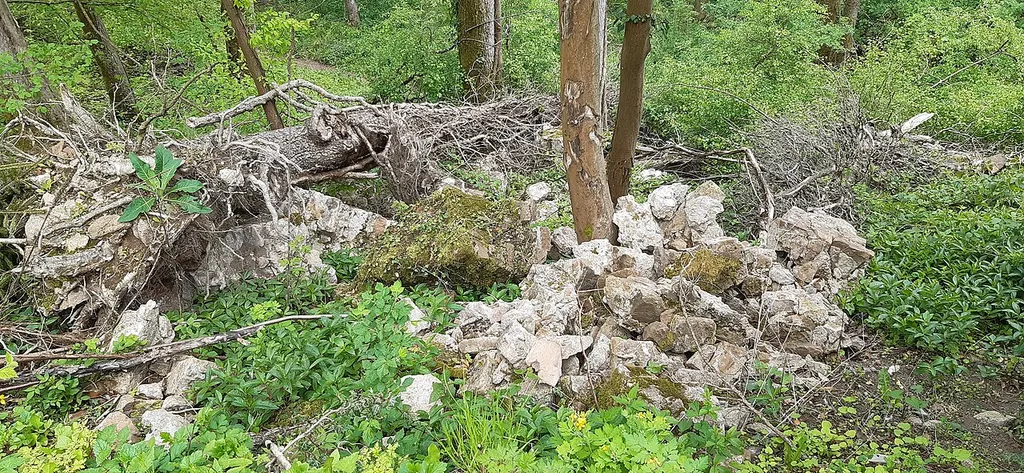 Südliche Burgmauerreste: Verstürzte Reste des zweiten Schalenturmes