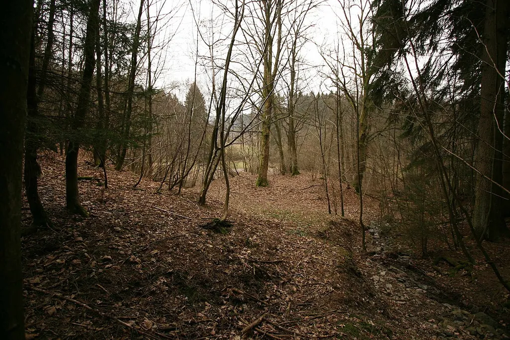 Turmhügelburg Attendorn-Berlinghausen
